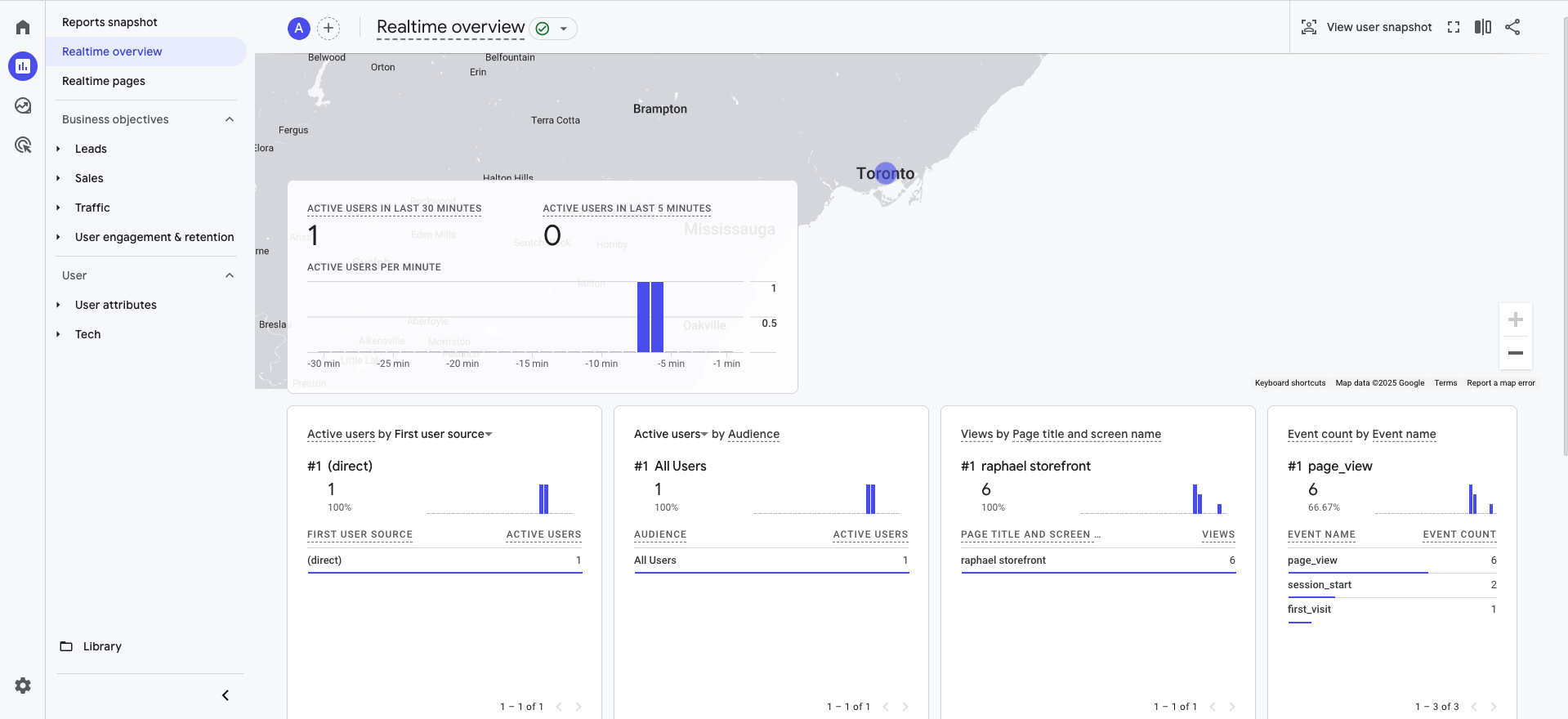 Google Analytics User Activity